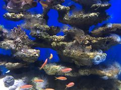 -泉城欧乐堡海洋极地世界