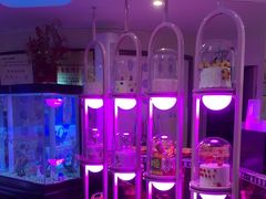 -巴特餐饮6加1音乐餐吧·新疆菜
