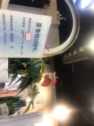 -魔型社