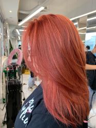 -潘多拉Hairsalon