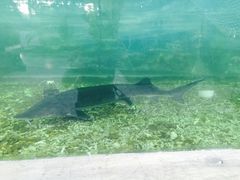 -龙达温泉生态城