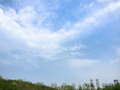 -群力丁香公园