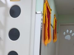 -佳雯宠物医院·皮肤科·内外科(春晓路分院)