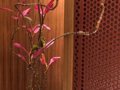 -二酉书店TOYOU BOOKS