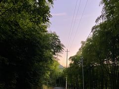 -藏龙百瀑风景区