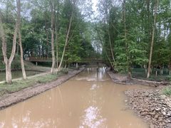 -桤木河湿地公园