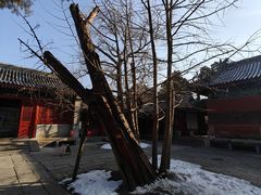 -承恩寺