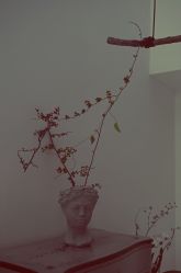 -无界瑜伽普拉提