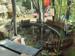 -东方华地城湿地温泉度假区