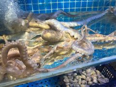 -前王院•巧克力海鲜市集餐厅(万平口店)