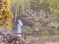 -西湖外事游船(花港观鱼码头)