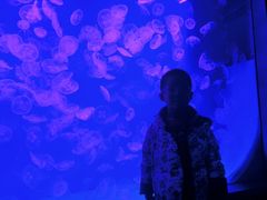 -沈阳海洋探索中心