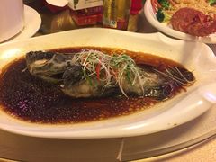 森谷美食公园生态餐厅-森谷美食公园(杨行店)