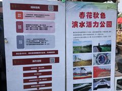 -春花秋色城市公园