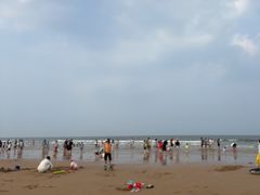 -日照海滨国家森林公园