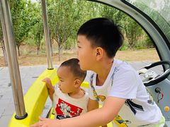 -永定河休闲森林公园