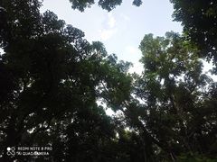 -中山公园(石岐街道)