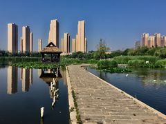 湿地公园幽静小路贯穿整个景区-前关湿地公园