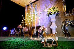 -苏宁环球套房饭店·宴会厅