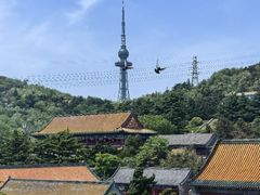 -湛山寺