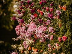 -维乐口腔医院(福清院)