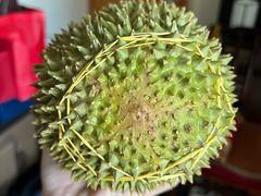-油麻地果栏