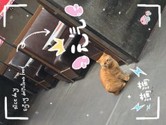 -肥仔文澳门猪骨煲(南京西路店)