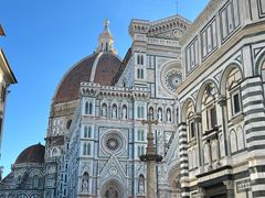 -圣母百花大教堂穹顶