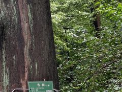 -北京上方山国家森林公园