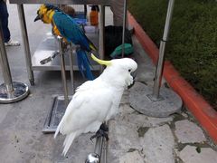 -广州融创文旅城