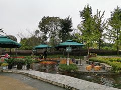 -成飞公园