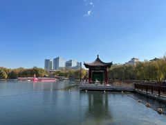 -莲花池公园