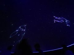 -济南方特东方神画