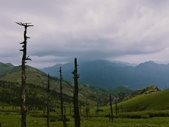 -秦岭风景区