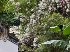 -深圳国际园林花卉博览园