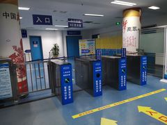 -奥体中心游泳馆