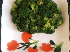 -爱月宝月嫂·育儿嫂