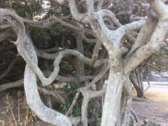 -龙坑生态保护区