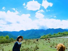 -石棉县孟获城