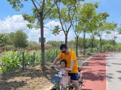 -上海长兴岛郊野公园