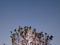 -深圳海景嘉途酒店(东翼楼)