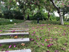 -厦门国家会计学院