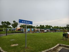 -春花秋色城市公园