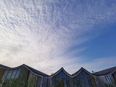 -上海市保健医疗中心