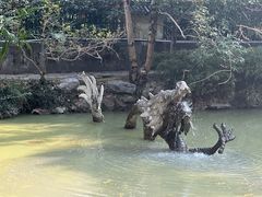 -汇龙潭