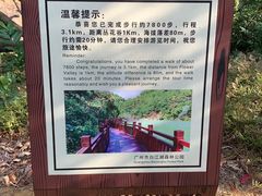 -广州白江湖森林公园