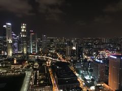 -新加坡瑞士史丹福酒店