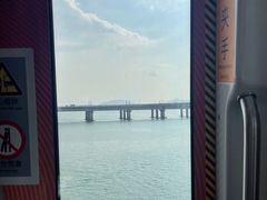-海豚湾扬帆出海帆船游艇