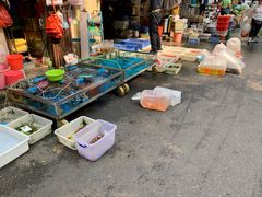 -清平路水族市场
