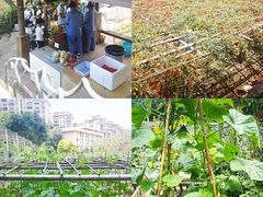 -青青世界